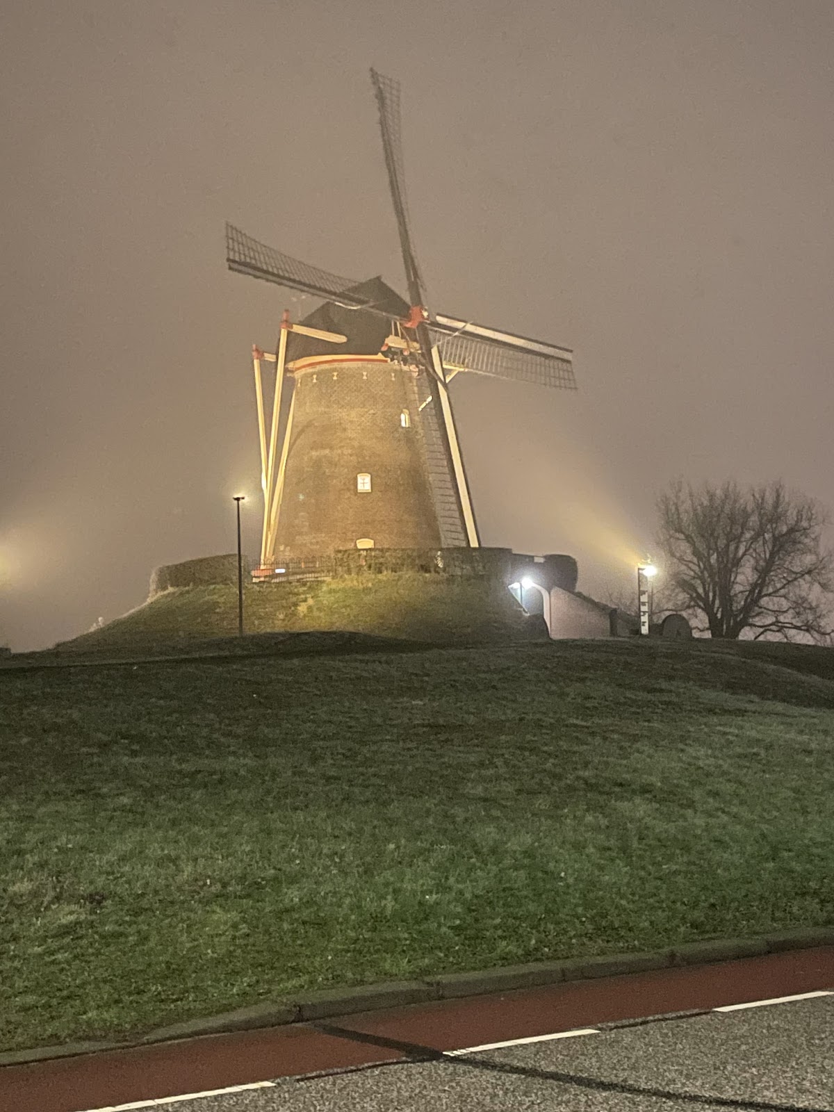 Trattoria Da Jonny - 2